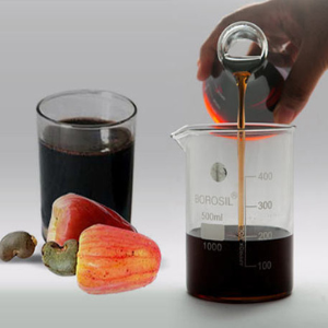 Cashew Nut shell liquid